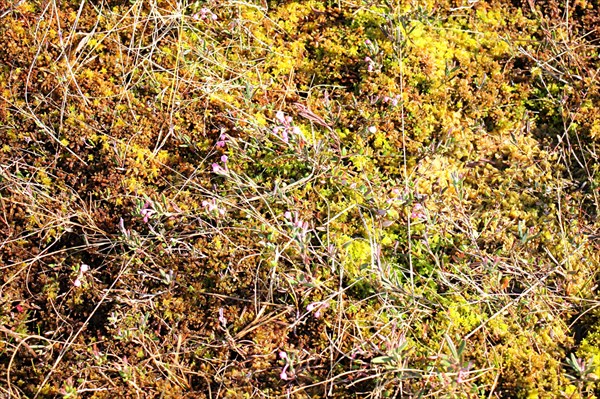 165-Национальныи парк Кемери